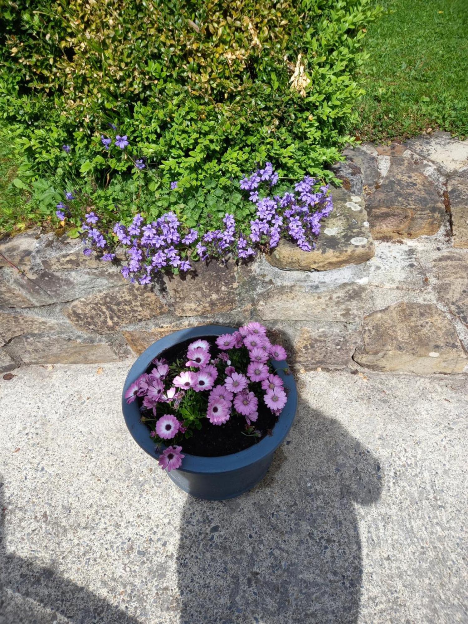 Carraig Rua Bed & Breakfast Kilkenny Luaran gambar