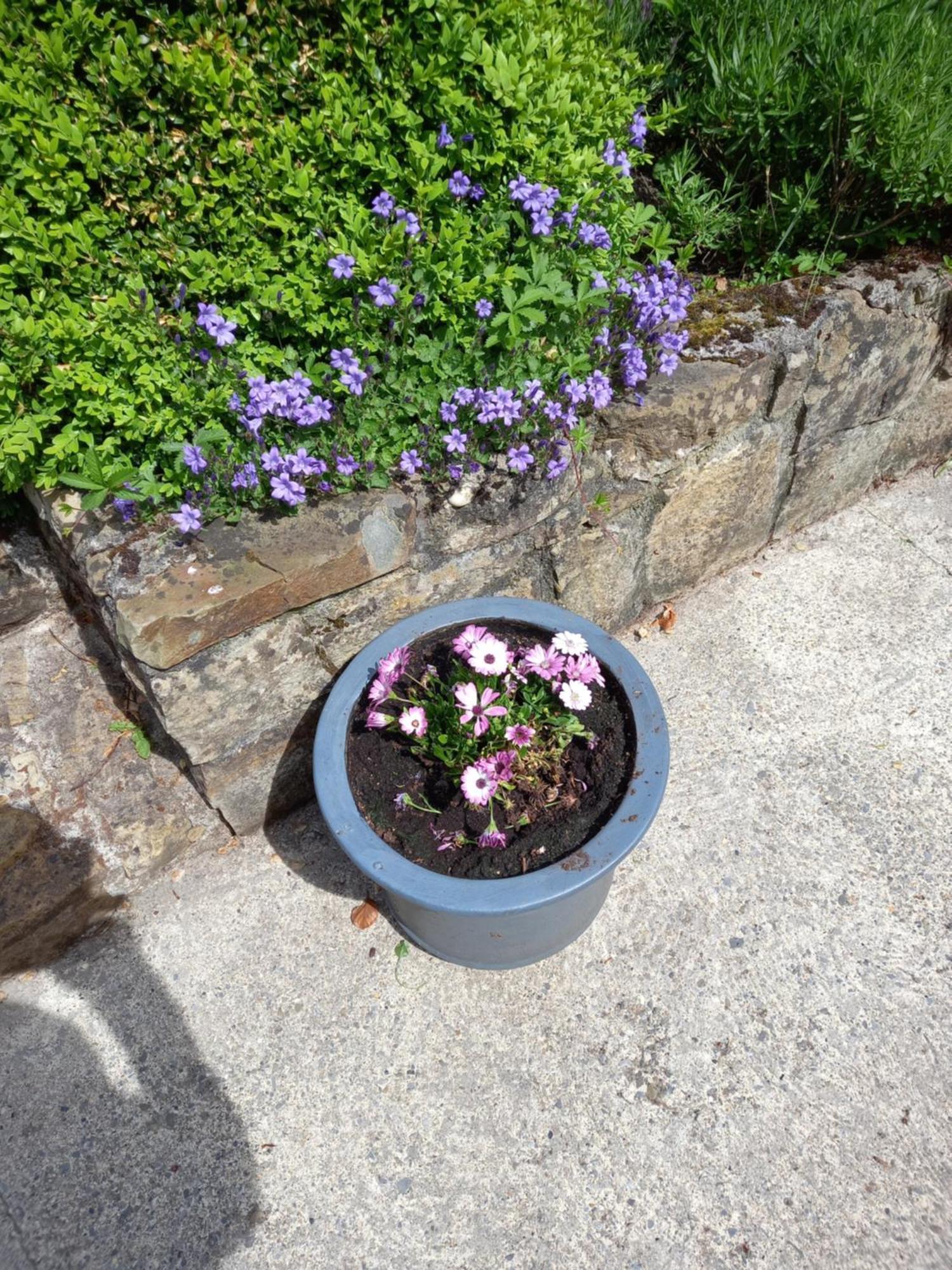 Carraig Rua Bed & Breakfast Kilkenny Luaran gambar
